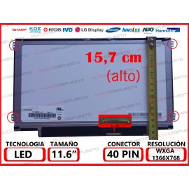 PANTALLA 11.6" LED...